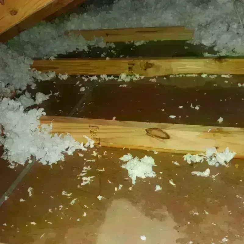 Attic Water Damage in Camp Hill, PA